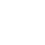 A2